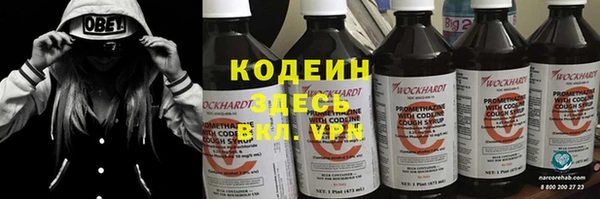 прущий лед Алзамай