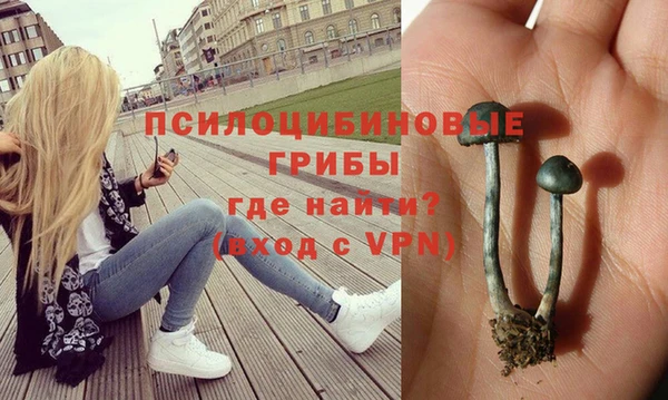 прущий лед Алзамай