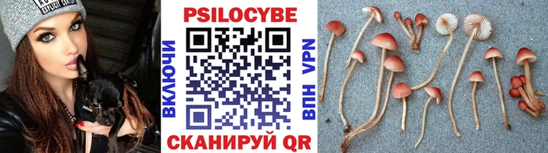 Галлюциногенные грибы Psilocybine cubensis Таштагол