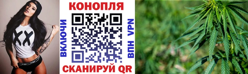 Конопля планчик  Таштагол 